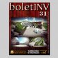 BoletINV31_Small